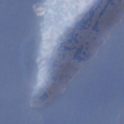 Amitsoq - January 2024