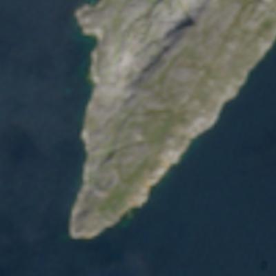 Amitsoq - August 2024