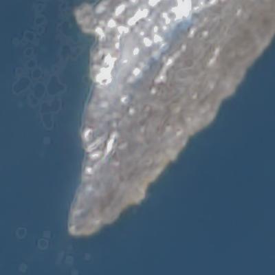 Amitsoq - April 2025