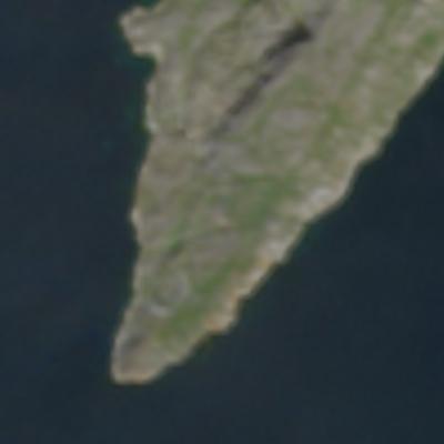 Amitsoq - August 2025