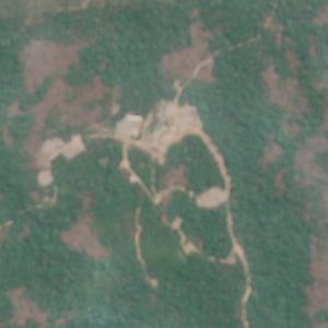 Coringa - August 2024