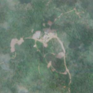 Coringa - March 2025