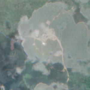 Coringa - April 2025