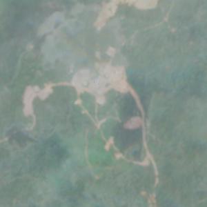 Coringa - November 2025