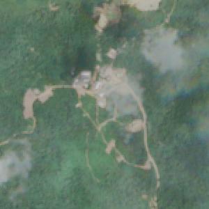 Coringa - January 2026