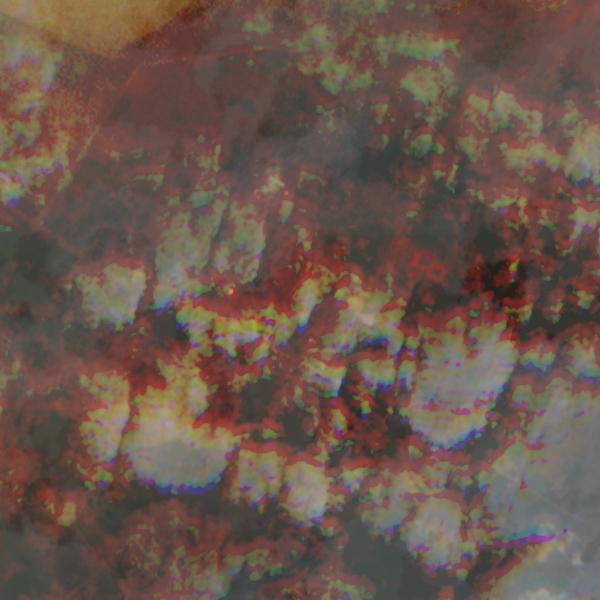 Oben Gas Plant - January 2024