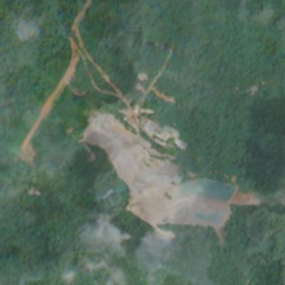 Palito Complex - January 2025