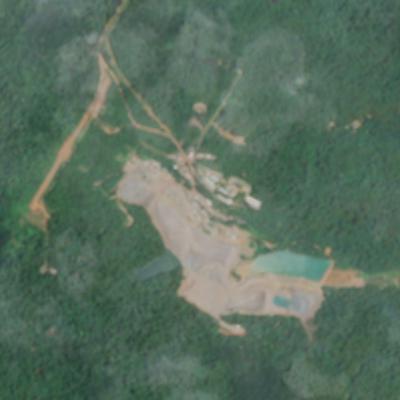 Palito Complex - February 2025