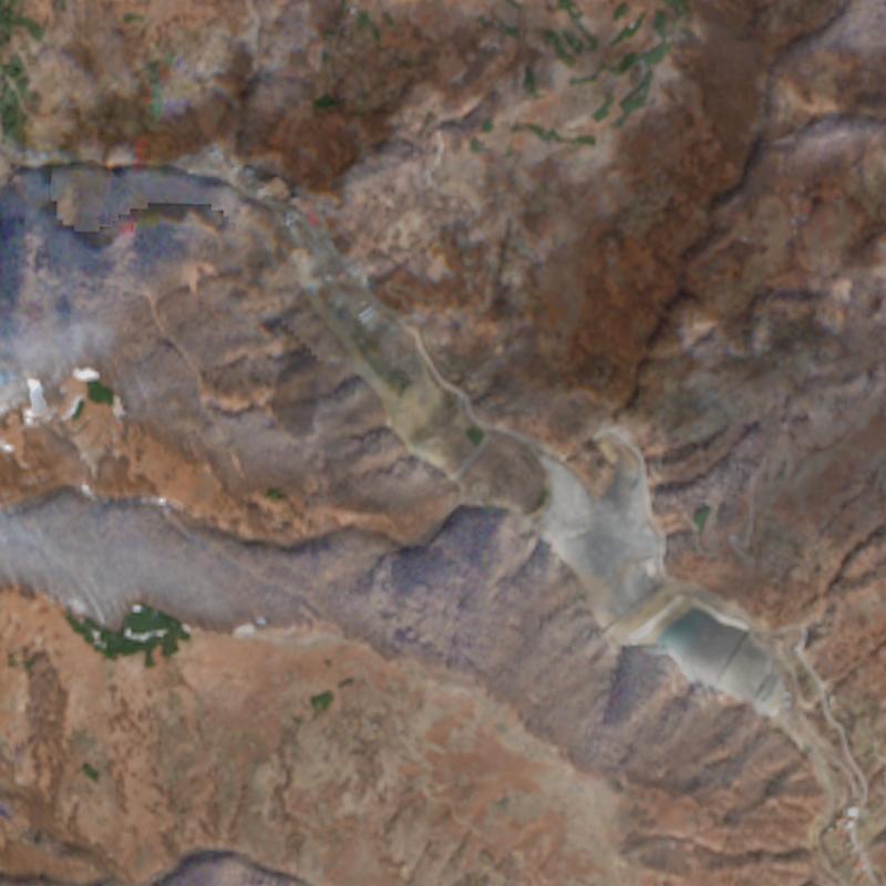 Sasa - February 2024