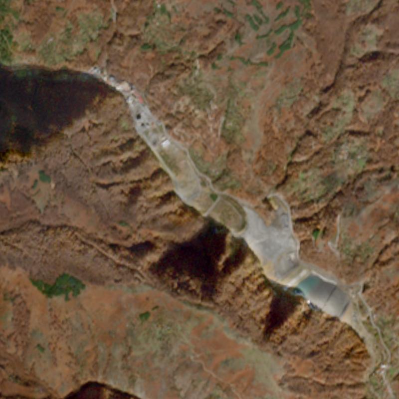 Sasa - November 2024