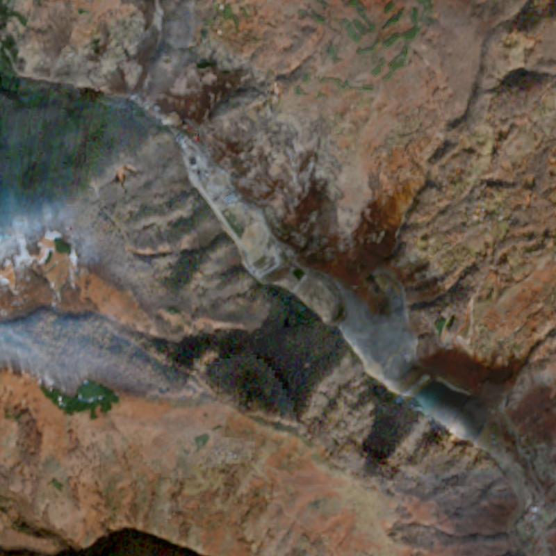 Sasa - December 2024