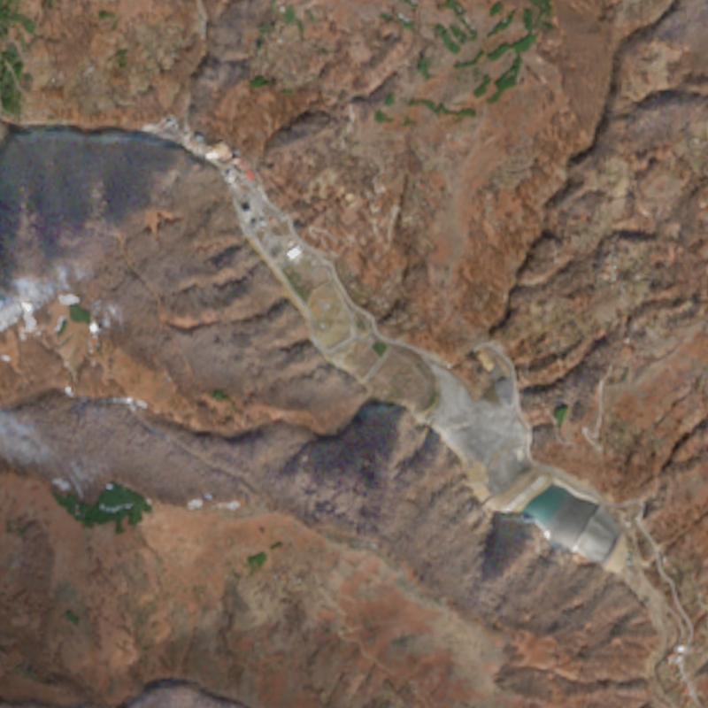 Sasa - February 2025